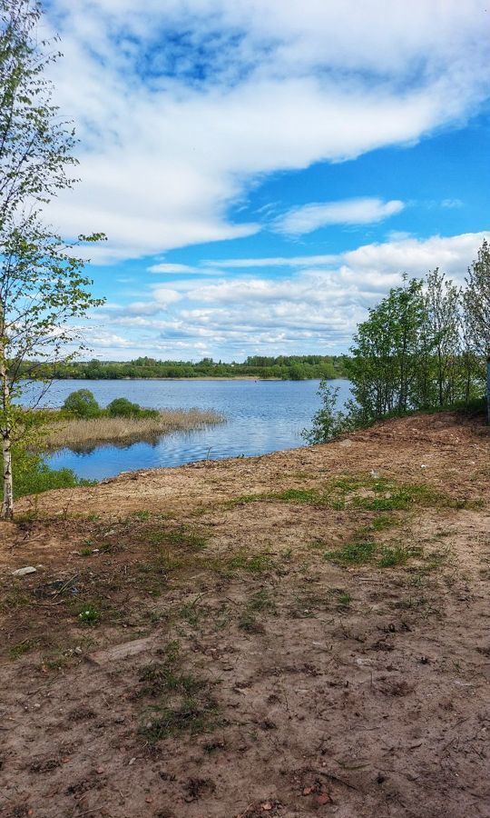 земля р-н Псковский д Дворец волость, Псков, Завеличенская фото 3