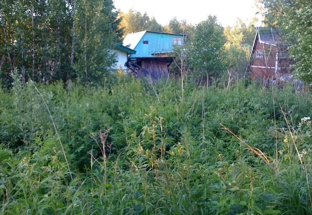 п Спиртзаводской ул Южная Заречинское сельское поселение, Спасск-Рязанский фото