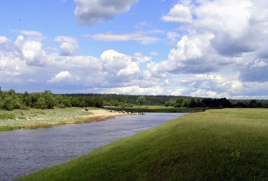 земля р-н Моркинский д Старое Мазиково Морки фото 29