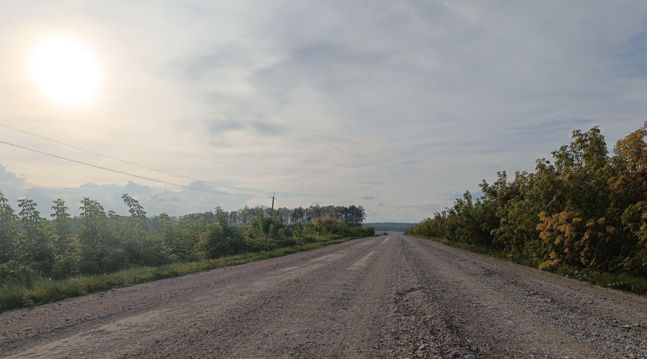 земля р-н Чишминский д Боголюбовка сельсовет, Аровский фото 3