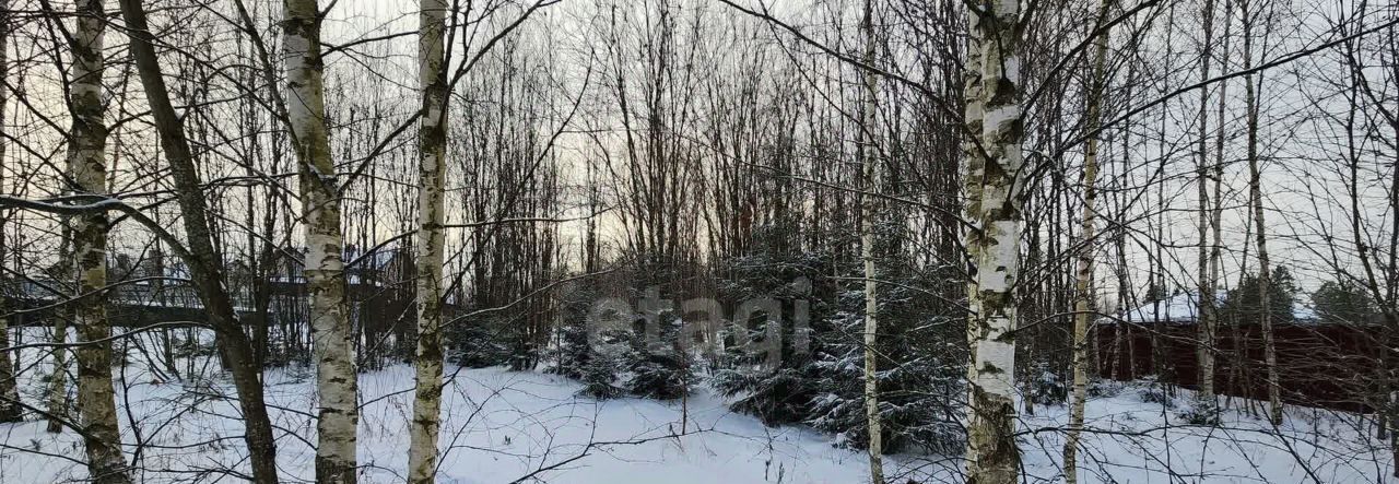 земля городской округ Солнечногорск д Соколово Зеленоград — Крюково, 81 фото 6