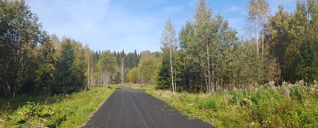 г Краснозаводск территориальный отдел Березняковский фото