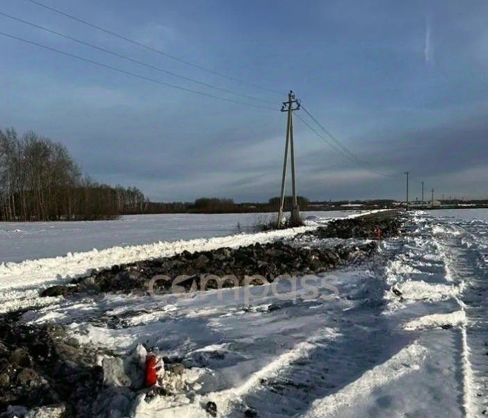 земля р-н Тюменский с Горьковка ул Сибирская фото 4