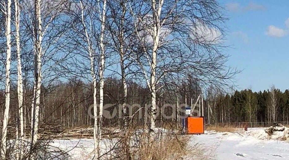 земля р-н Нижнетавдинский снт Сундукуль фото 12