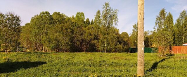 земля д Березняк ул Ветеранов 75 Пчёвжинское сельское поселение, Будогощь фото