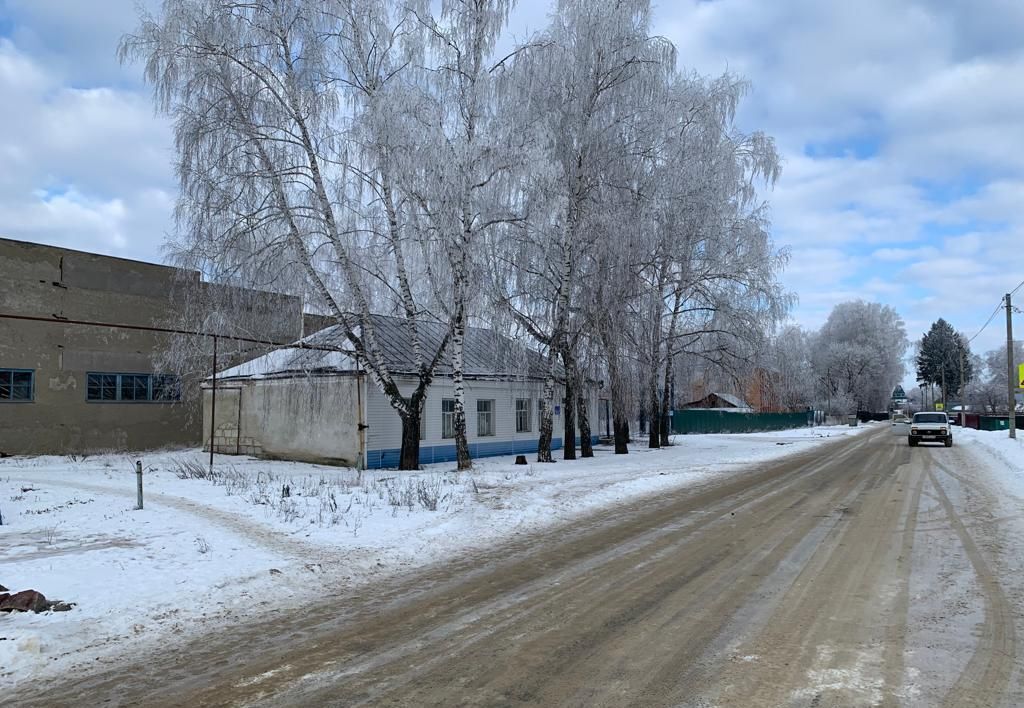 производственные, складские р-н Башмаковский рп Башмаково ул Мохова 5а фото 1