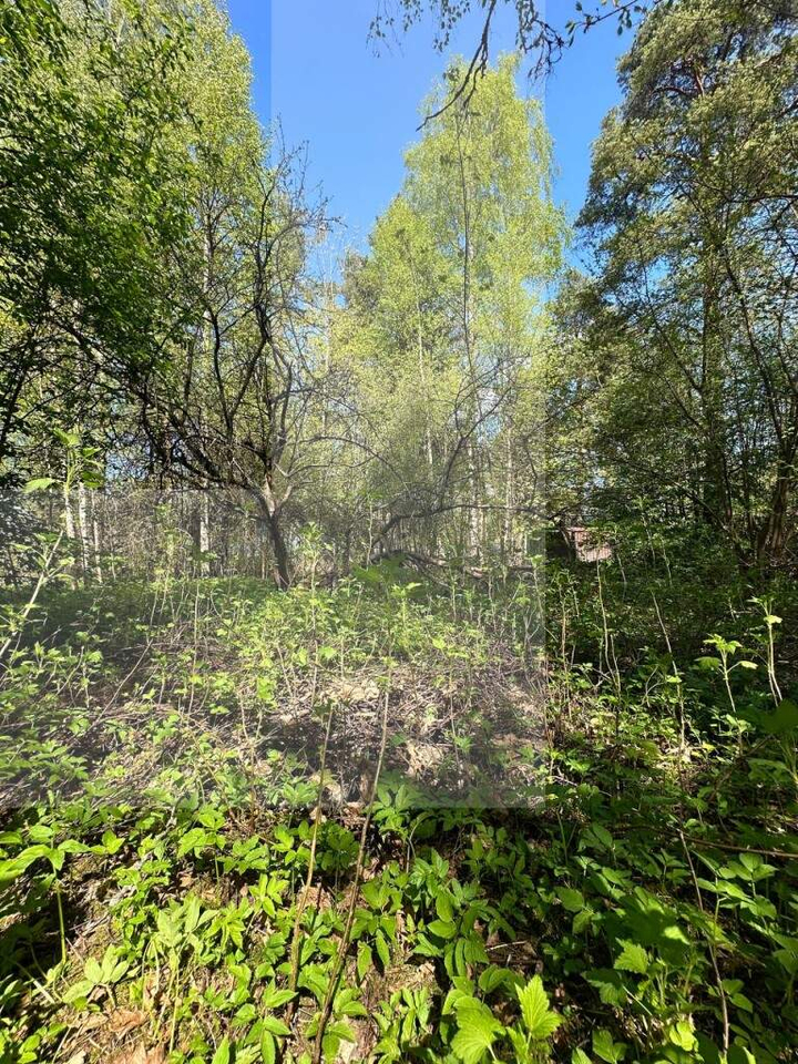 земля р-н Выборгский городской поселок Рощино, Красноармейская улица фото 11