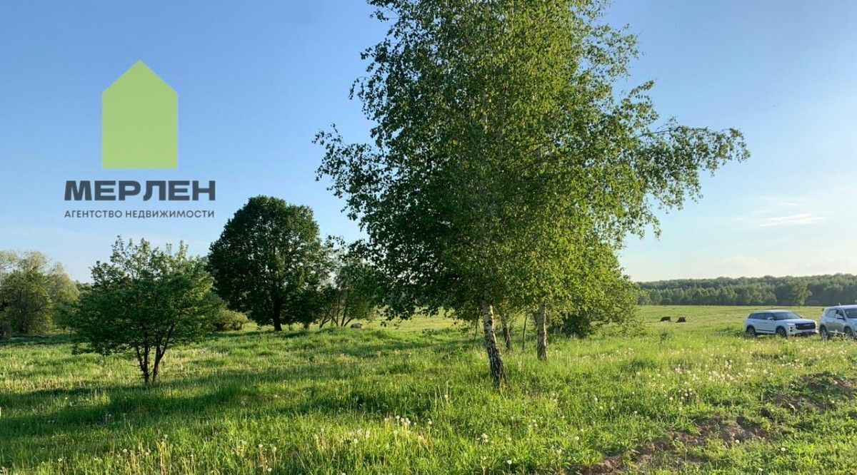 земля р-н Бабынинский с Бабынино ул Центральная фото 3