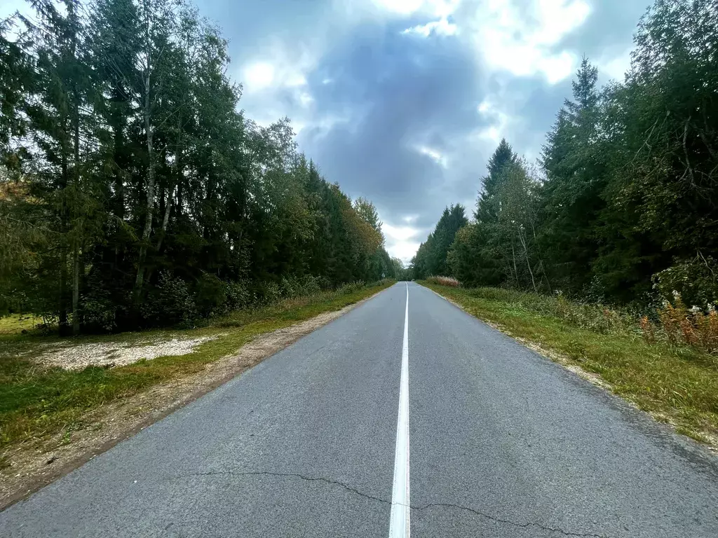 дом р-н Окуловский д Боровно 80, Валдай фото 4