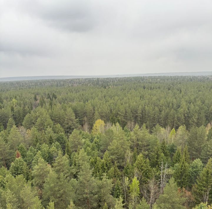 квартира г Ижевск р-н Октябрьский ул Якшур-Бодьинский тракт 7 фото 14