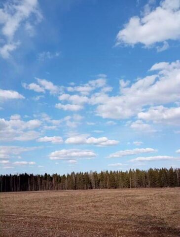 земля Югское муниципальное образование фото