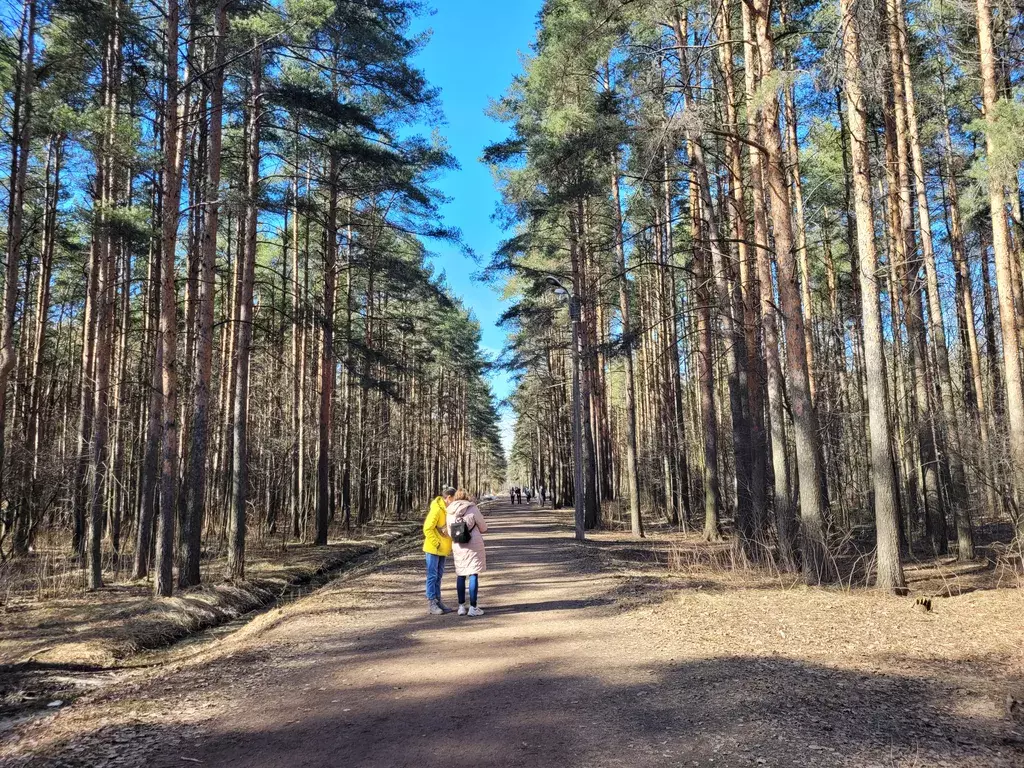 квартира Санкт-Петербург, Проспект Ветеранов, Народного Ополчения проспект, 149 фото 21