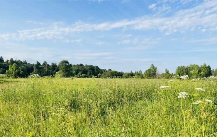 земля городской округ Можайский д Заречье 90 км, Можайск, Минское шоссе фото 6