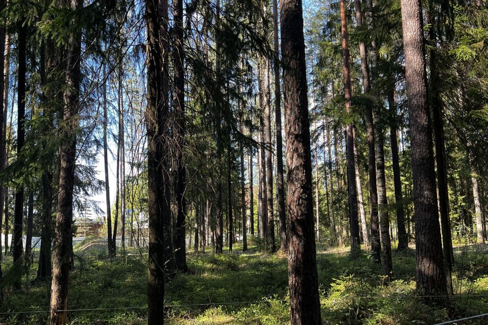 земля г Санкт-Петербург п Репино ул Финляндская Курортный район фото 1