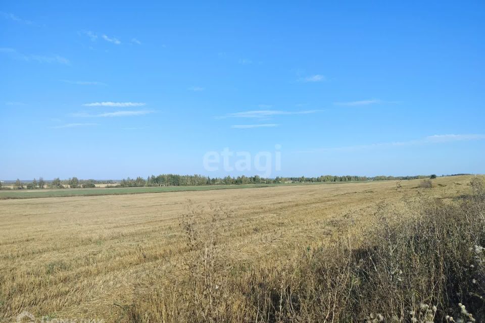 земля городской округ Раменский территориальное управление Рыболовское фото 9