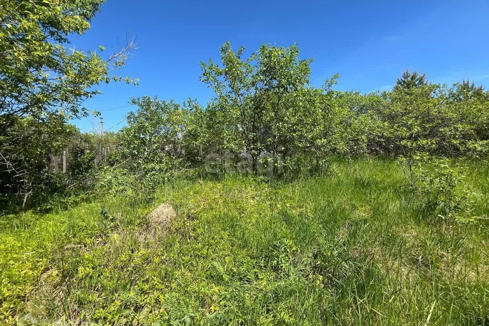 земля г Луховицы садовое товарищество Радуга, городской округ Луховицы фото 1