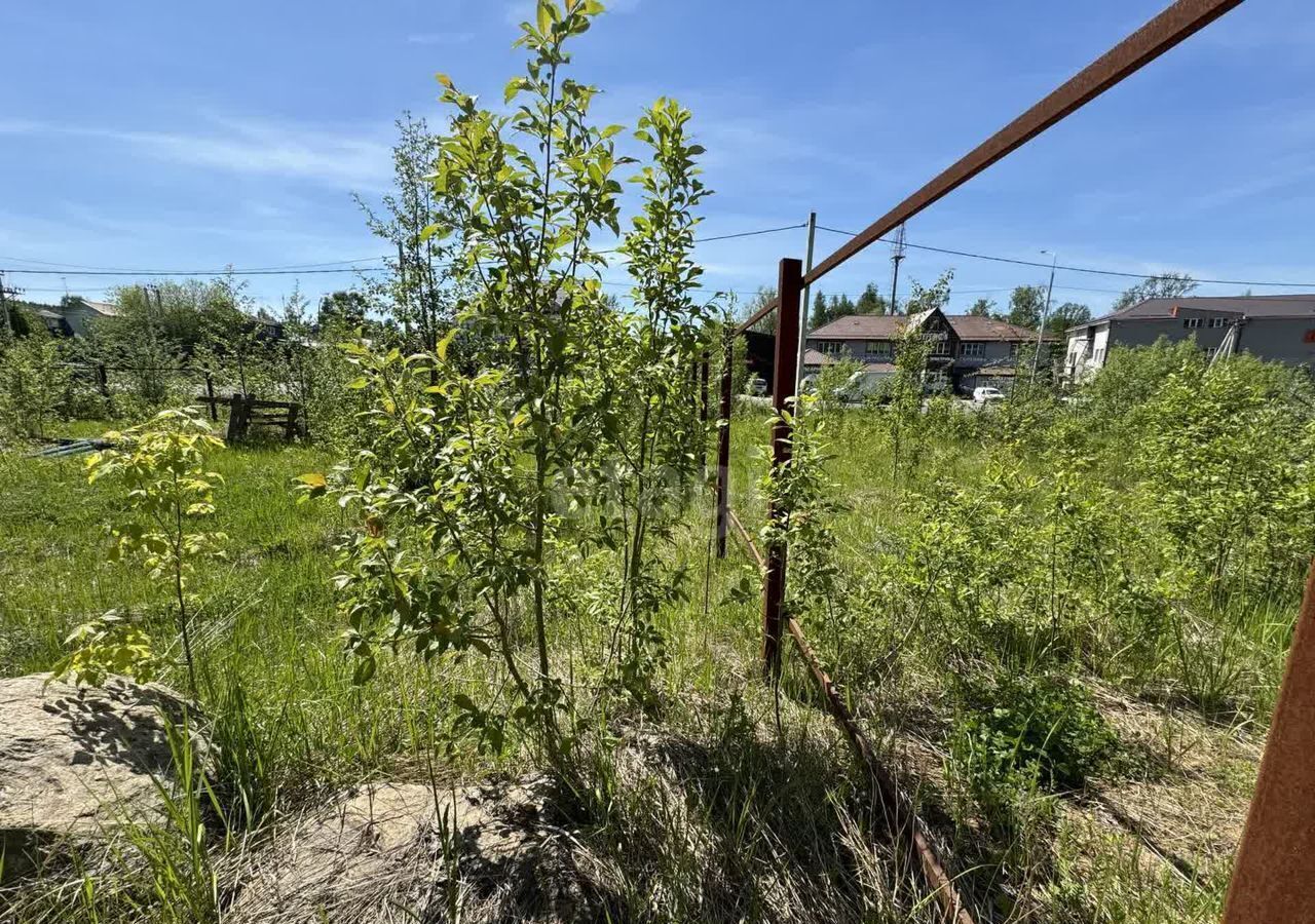 земля городской округ Дмитровский Дмитров фото 4