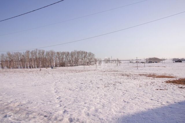 земля п Центральный ул Александровская 7 городской округ Барнаул фото