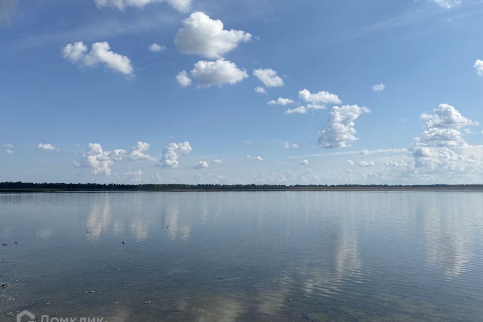 земля р-н Коркинский рп Роза 4-й квартал Санаторной улицы фото 6