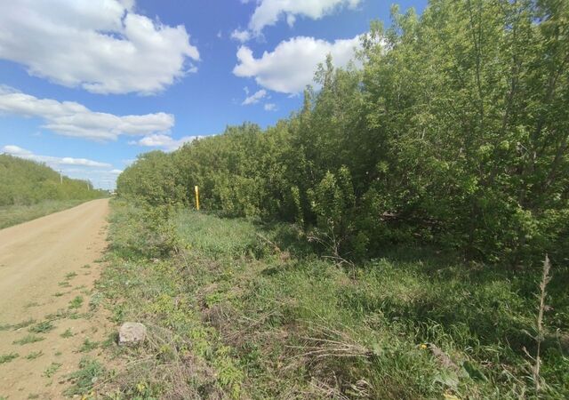 с Первушино ул Солнечная 1 Старокамышлинский сельсовет, Благовещенск фото