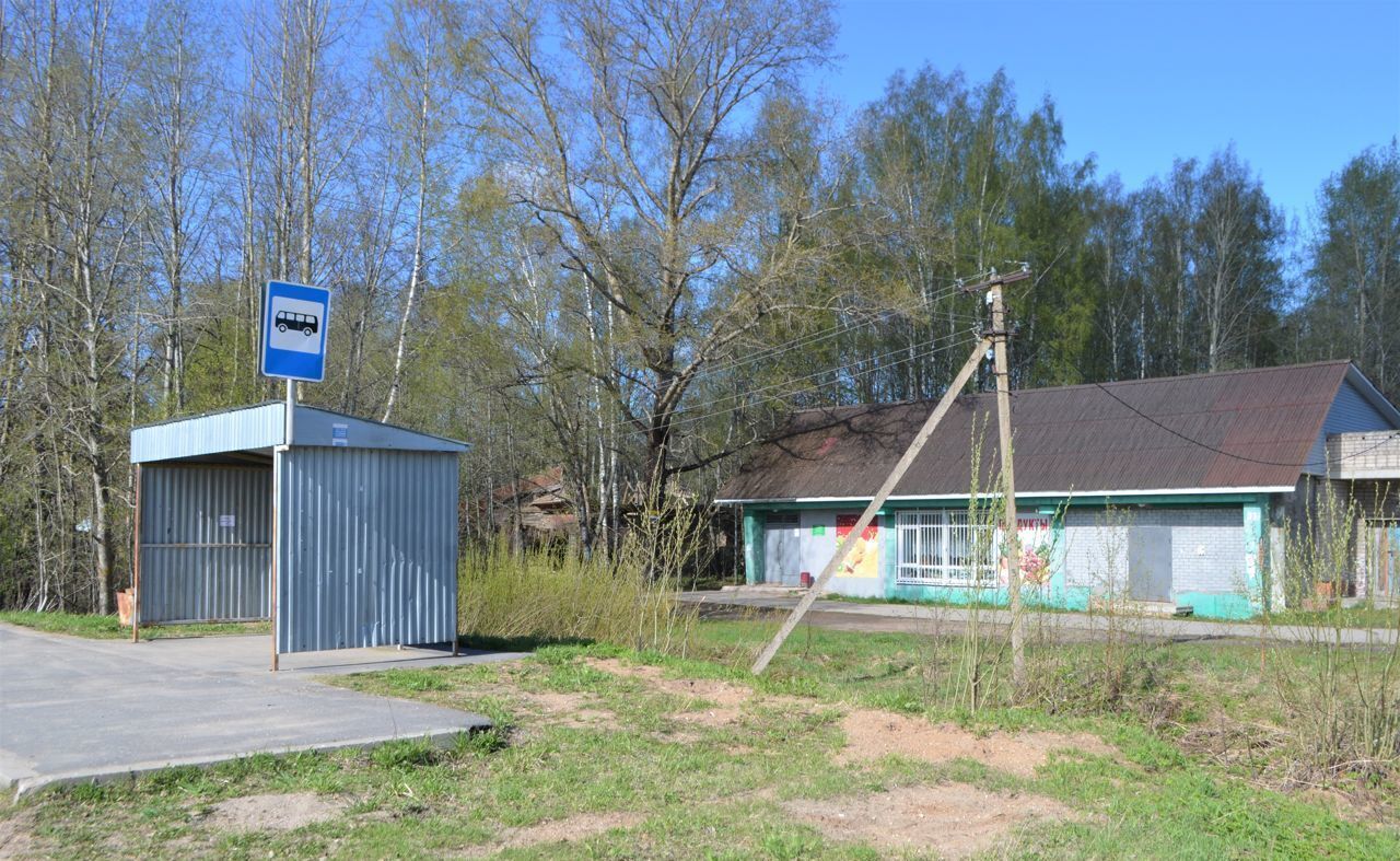 земля р-н Череповецкий д Батран муниципальное образование Югское, Шексна фото 18