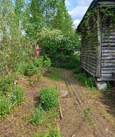 Трубникоборское сельское поселение, садовое некоммерческое товарищество Нева, 7-я линия, садоводческий массив Бабино фото