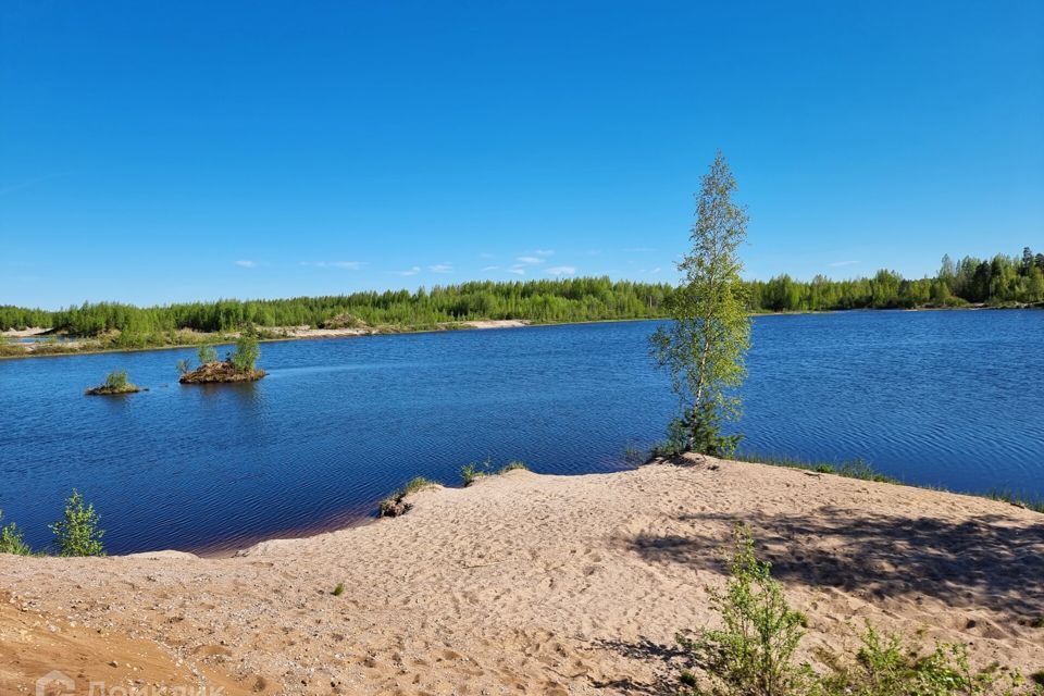 земля р-н Всеволожский Рахьинское городское поселение фото 9