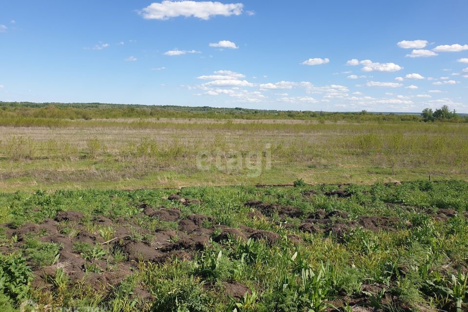 земля г Ульяновск с Луговое ул Молодежная 1 городской округ Ульяновск фото 4