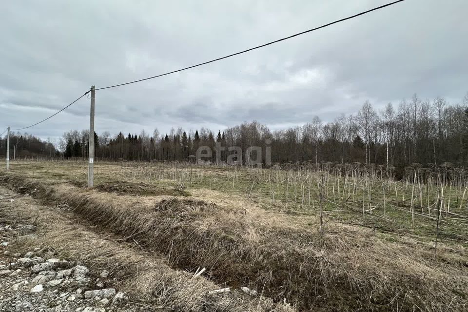 земля р-н Сыктывдинский село Выльгорт фото 4