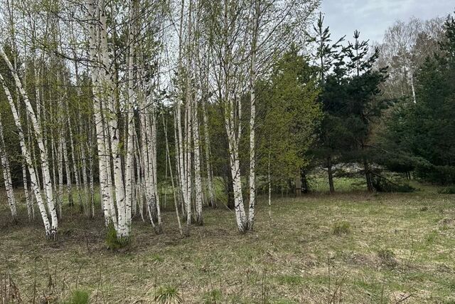 Екатеринбург, некоммерческое партнёрство Аэродром, 1442, муниципальное образование фото