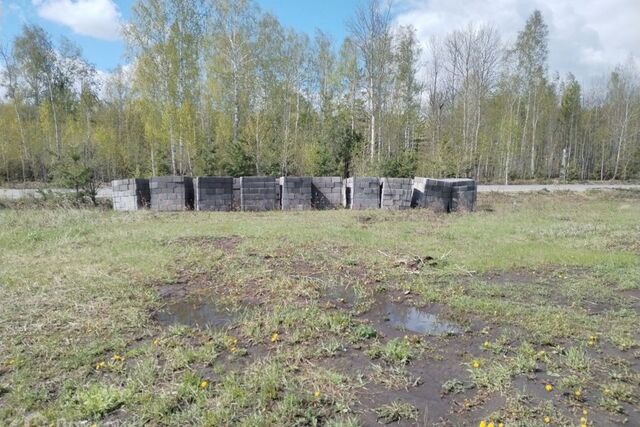 Заводоуковский городской округ фото