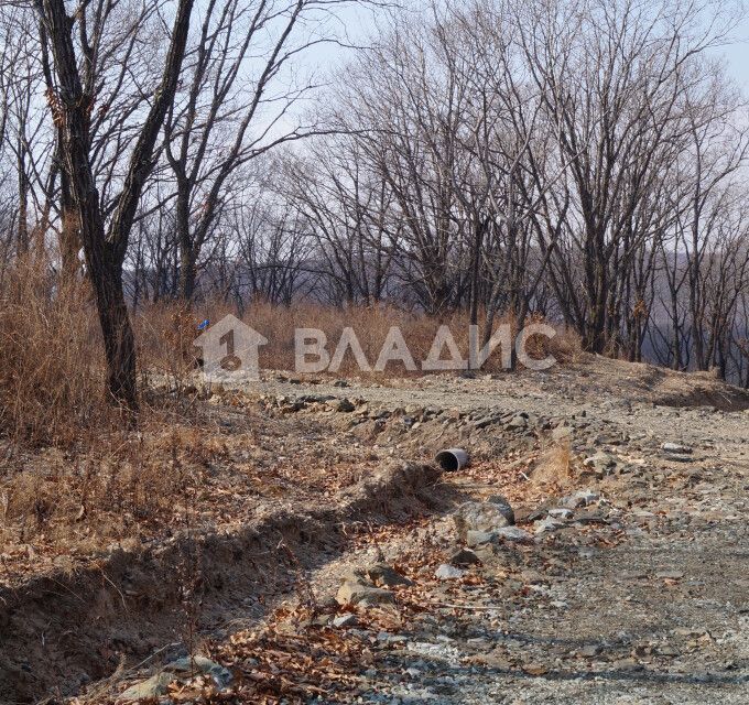 земля р-н Надеждинский Надеждинское сельское поселение фото 2