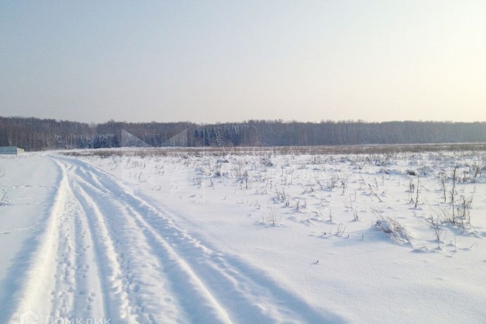 земля г Тюмень городской округ Тюмень, садовое товарищество Рябинка-2 фото 4