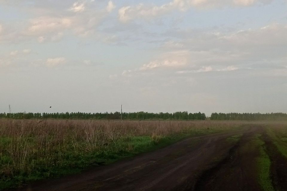 земля р-н Тамбовский с Селезни ул имени Аркадия Воробьева фото 3