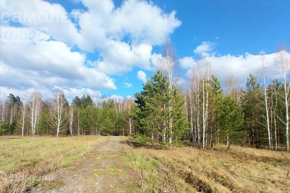 земля р-н Нижнетавдинский деревня Штакульская фото 5