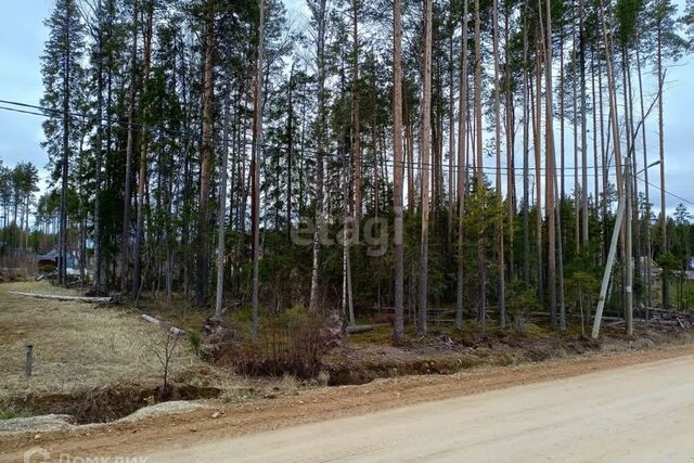 земля пгт Краснозатонский городской округ Сыктывкар, микрорайон Сосновая Поляна фото