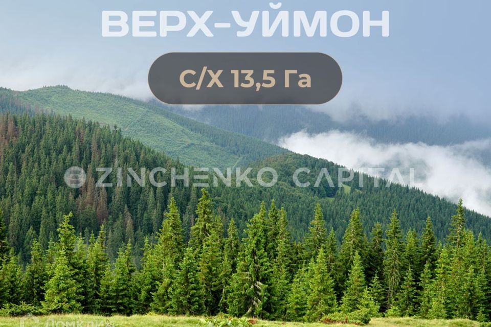 земля р-н Усть-Коксинский село Верх-Уймон фото 1