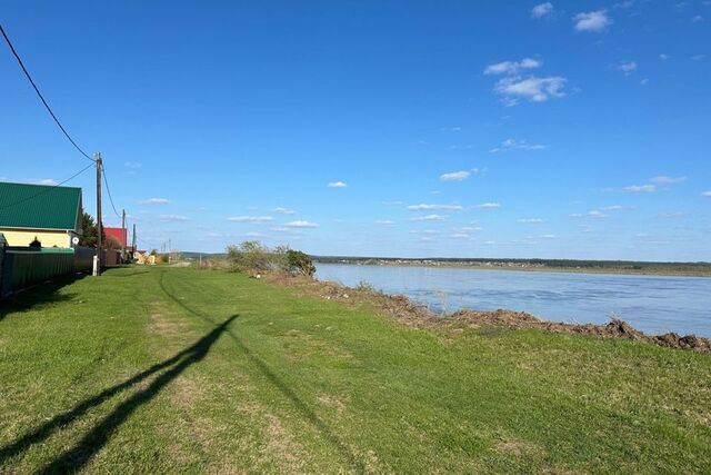 земля село Курлек фото