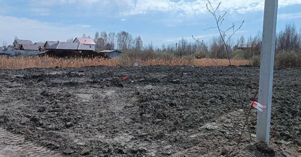 земля р-н Тюменский садоводческое некоммерческое товарищество собственников недвижимости Овощевод фото 1