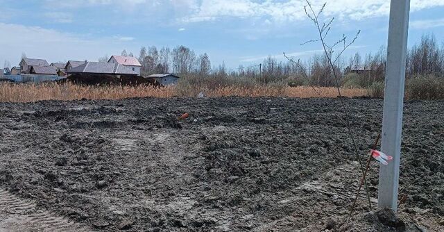 садоводческое некоммерческое товарищество собственников недвижимости Овощевод фото