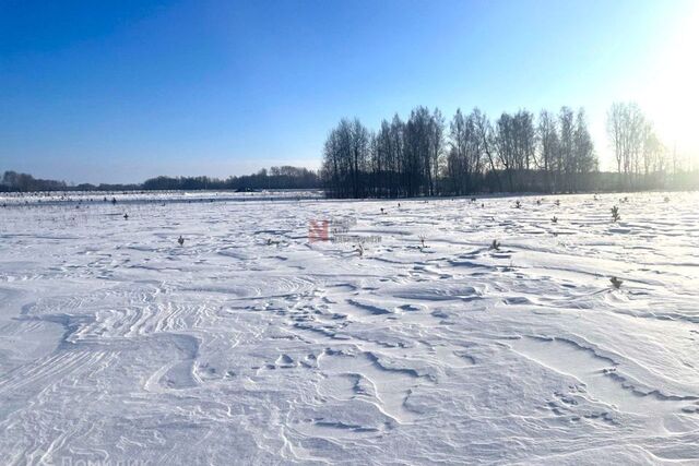 коттеджный посёлок Новокаменский, улица Гоголя фото