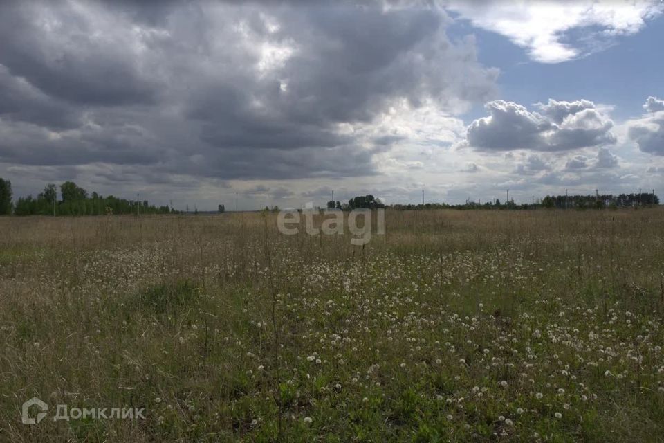 земля р-н Елабужский п Луговой ул Центральная 73 фото 4