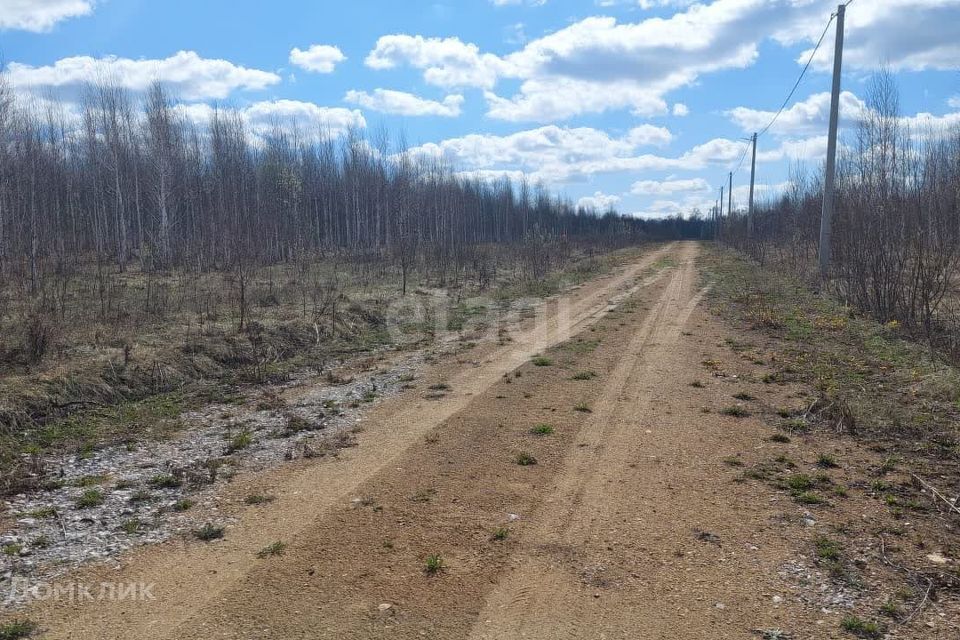 земля р-н Новосибирский ДНТ Раздолье фото 2