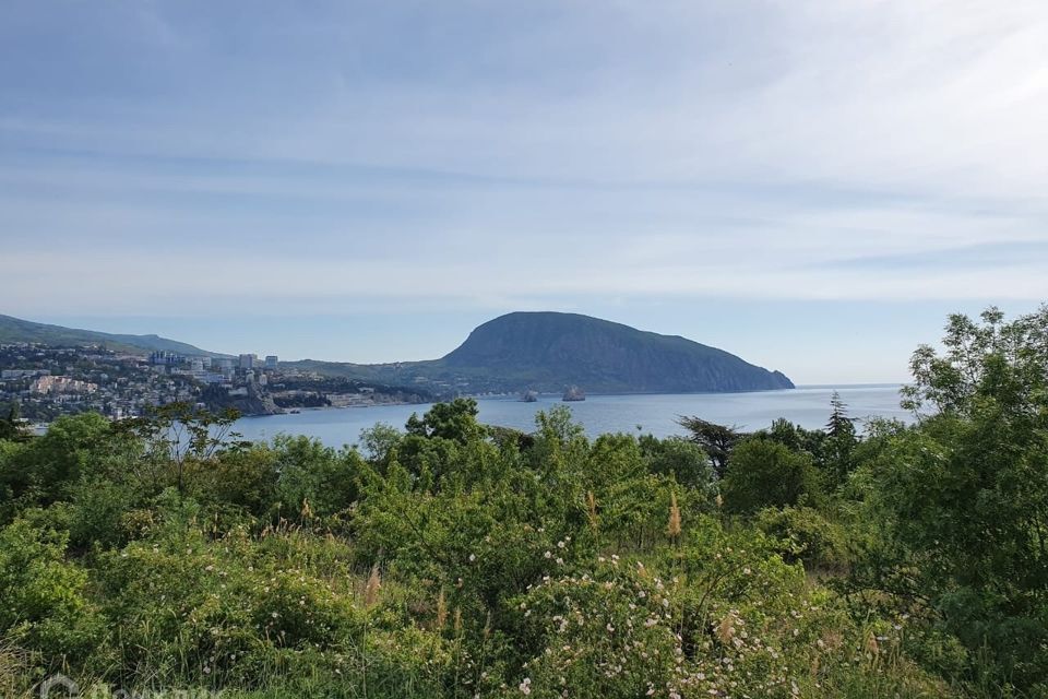 земля городской округ Ялта, Гурзуфский территориальный орган фото 1