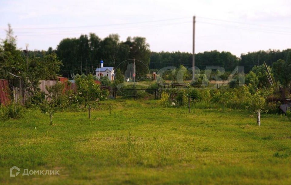 земля р-н Тюменский д Коняшина ул Новая фото 2