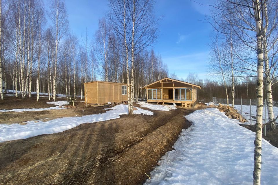 дом р-н Новгородский деревня Шевелёво фото 2