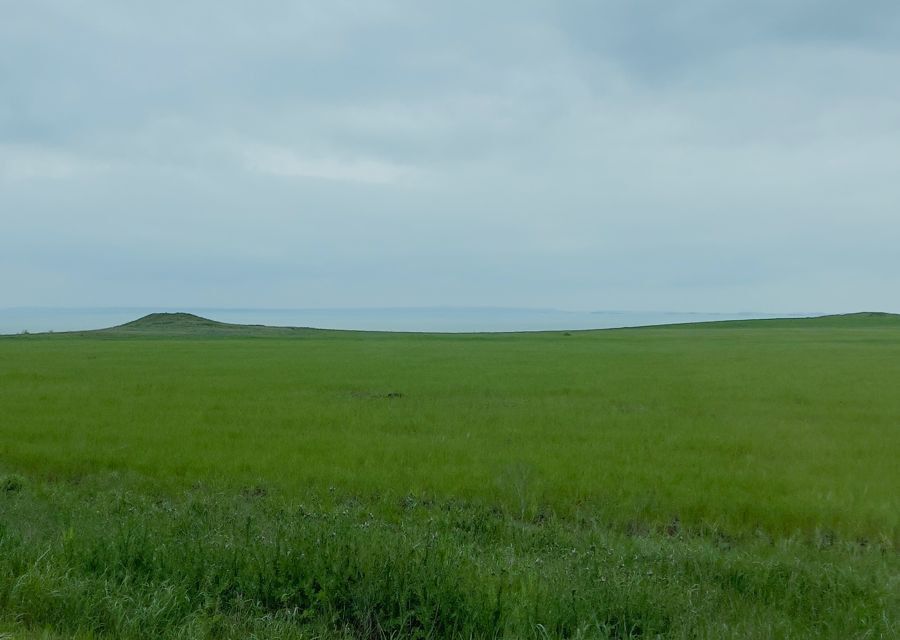 земля р-н Ленинский село Челядиново фото 4