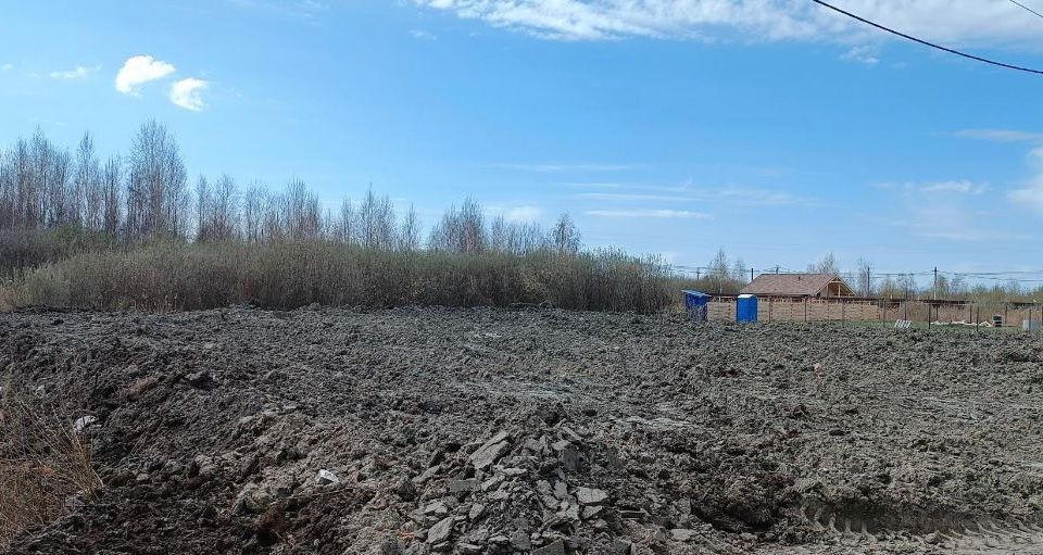 земля р-н Тюменский садоводческое некоммерческое товарищество собственников недвижимости Овощевод фото 3