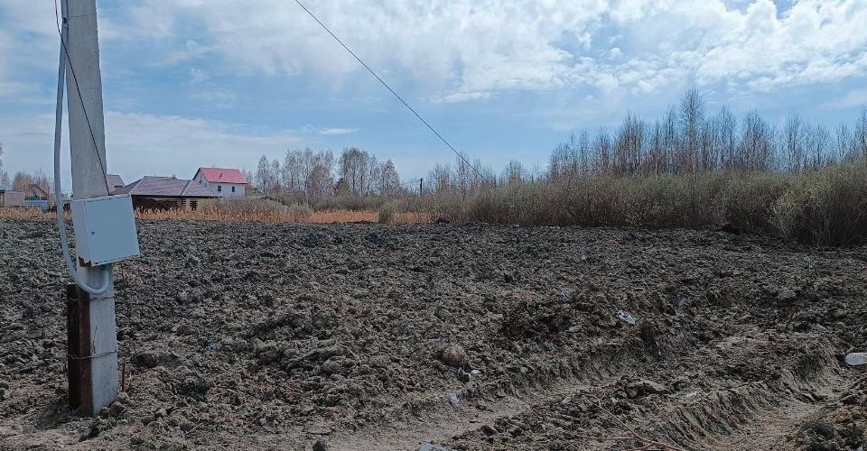 земля р-н Тюменский садоводческое некоммерческое товарищество собственников недвижимости Овощевод фото 2