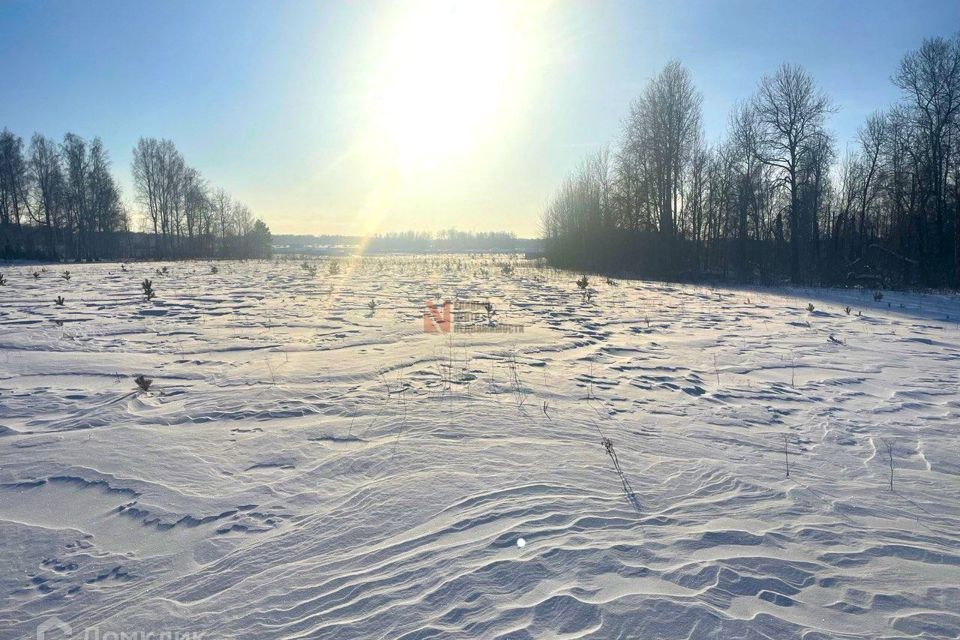 земля р-н Тюменский коттеджный посёлок Новокаменский, улица Гоголя фото 2